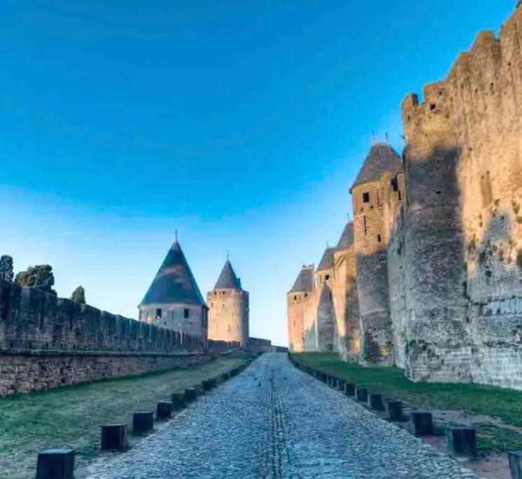 Appartement T2 Avec Vue Chateau Carcassonne Exterior photo